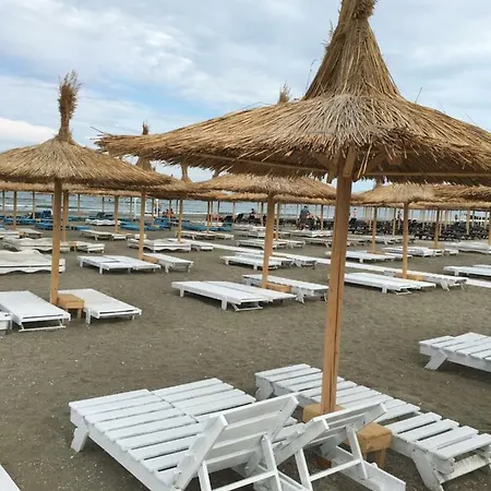 Adams Onix Blue Daire Navodari