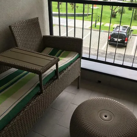 Adams Onix Blue * Navodari